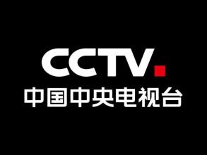 CCTV视频